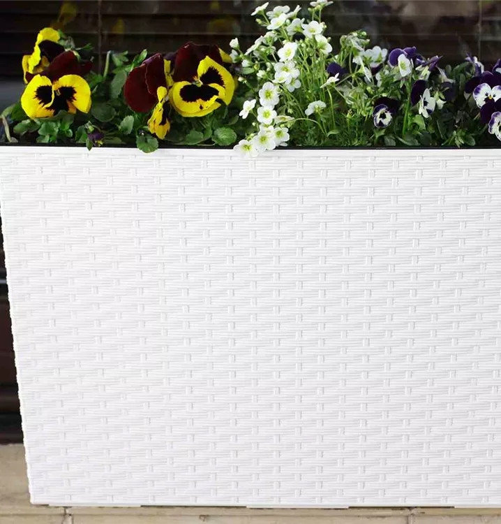 Siena Garden Pflanzkasten Segfe, eckig, 56x19x36,5 cm Rattanoptik in weiß  Kunststoff