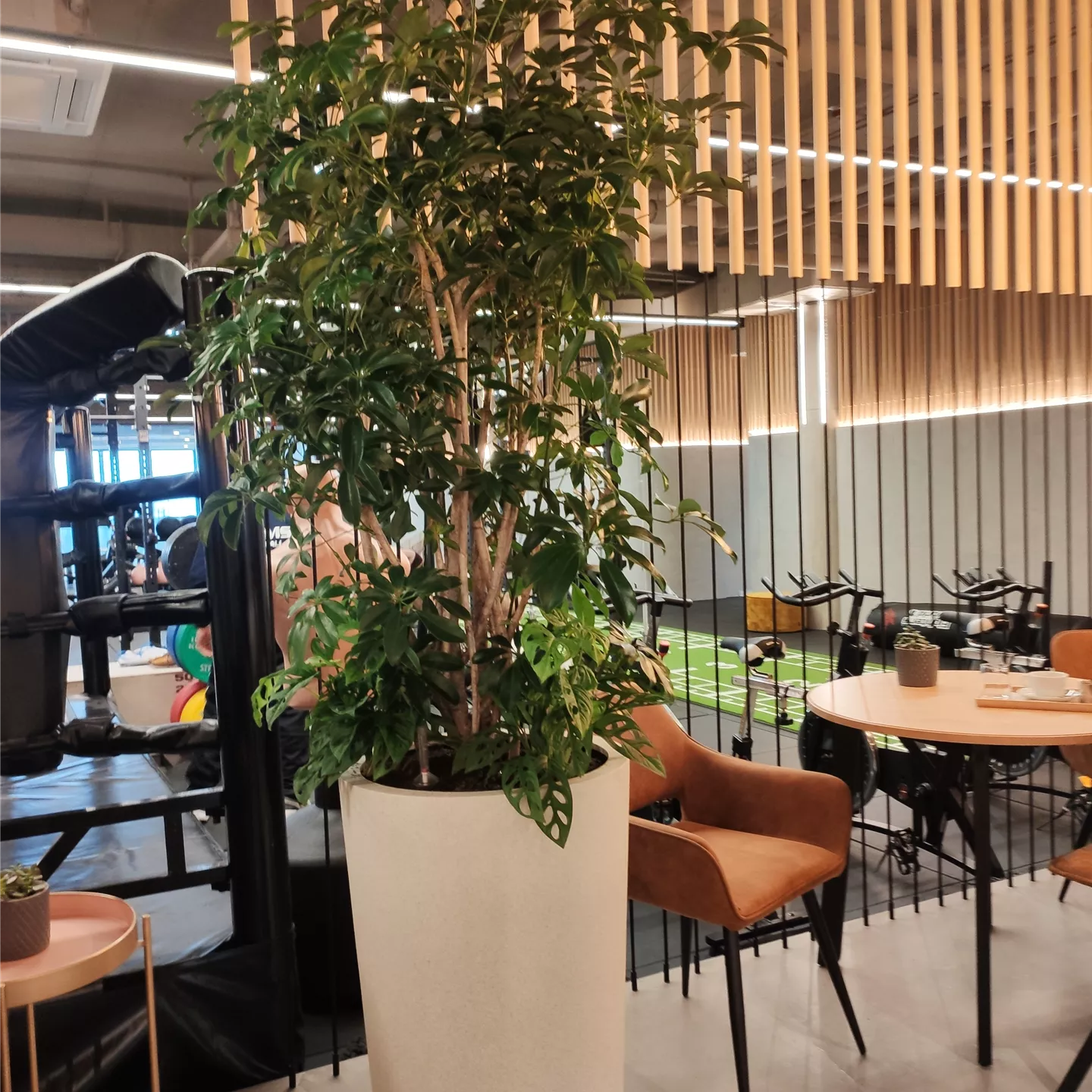 Firmenservice Firmenservice