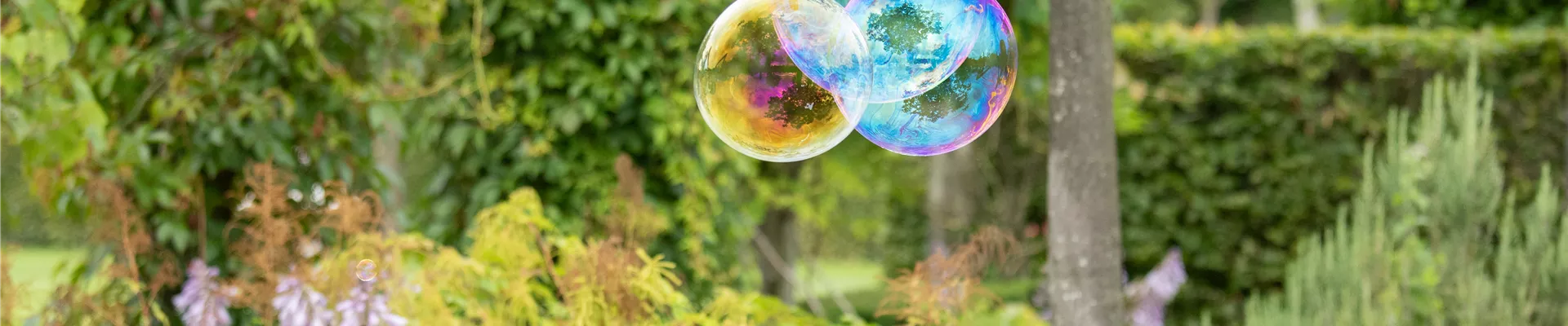 Sommergarten - Seifenblasen  Sommergarten - Seifenblasen