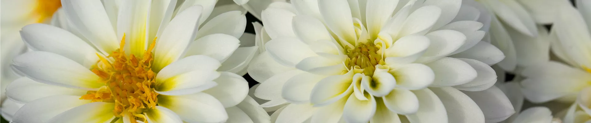 2021-1-20.9-26.GS671321 2021-1-20.9-26.GS671321