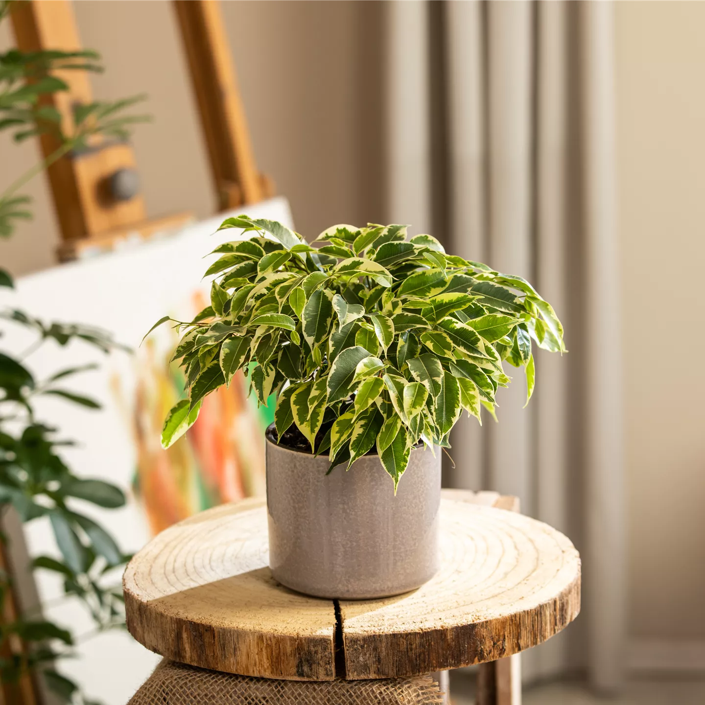 Begrünung Begrünung