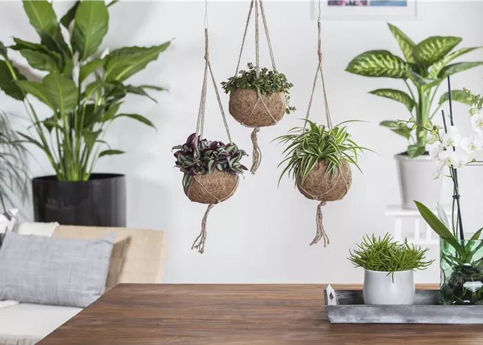 Büro- und Privaträume Büro- und Privaträume