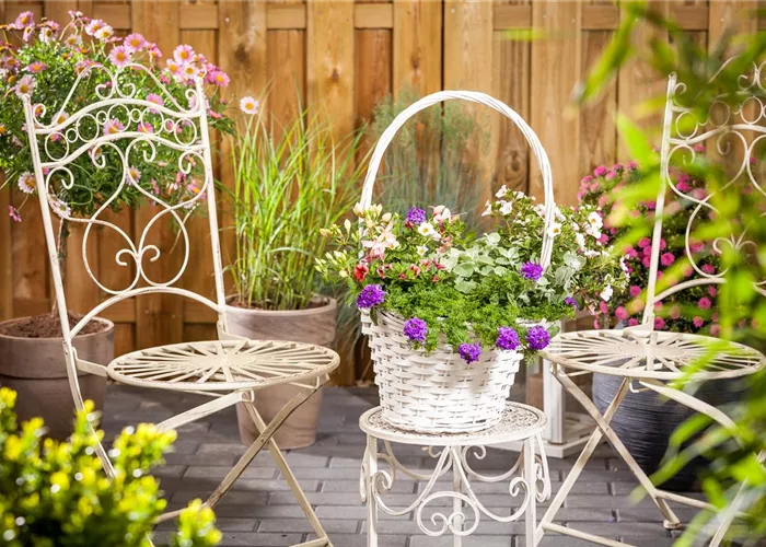 Garten, Balkon und Innenhof Garten, Balkon und Innenhof