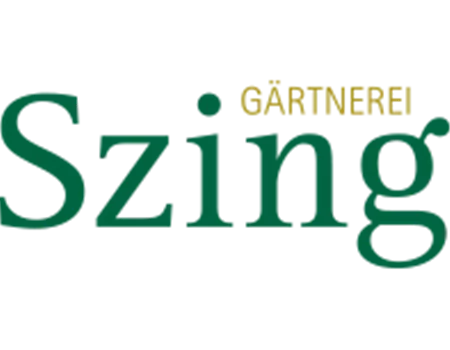 Rosa Winterkirsche 'Autumnalis Rosea'