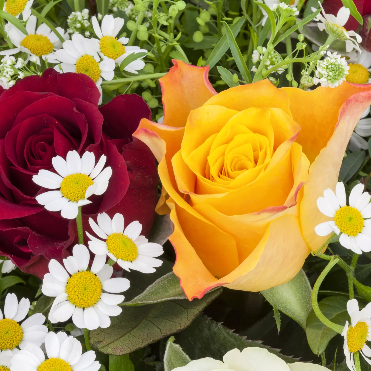 Referenzen Referenzen