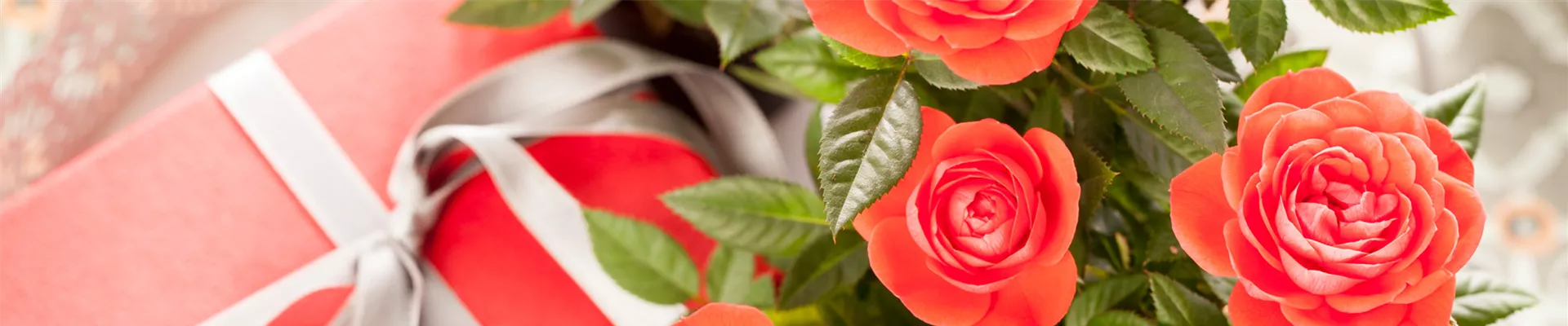 Gaertnerei_Szing_Geschenke_Header