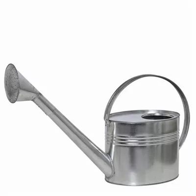 Siena Garden Gießkanne 7 Liter verzinkt in silber Stahlblech Siena Garden Gießkanne 7 Liter verzinkt in silber Stahlblech