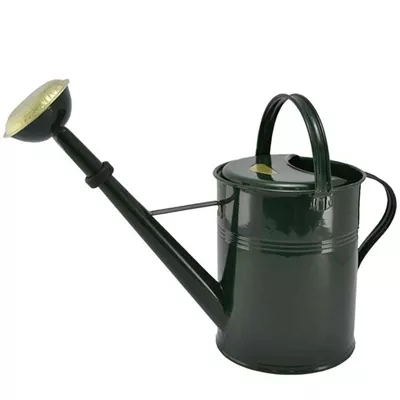 Gießkanne mit Messingbrause und Gummid 9L grün Gießkanne mit Messingbrause und Gummid 9L grün