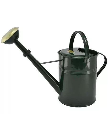 Gießkanne mit Messingbrause und Gummid 9L grün Gießkanne mit Messingbrause und Gummid 9L grün