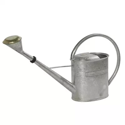 Gießkanne oval mit Messingbrause und Konus-Gummidichtungsring 8l silber Gießkanne oval mit Messingbrause und Konus-Gummidichtungsring 8l silber
