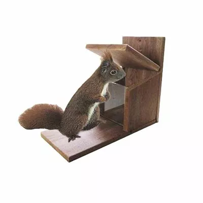 AP.HOSS Futterstation Eichhörnchen 27 cm AP.HOSS Futterstation Eichhörnchen 27 cm