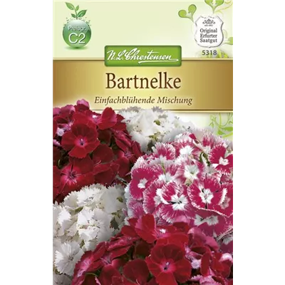 Bartnelkensamen Bartnelkensamen