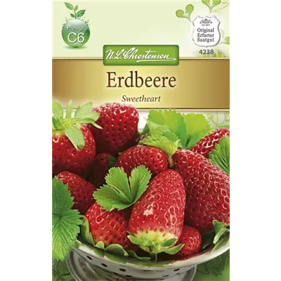 Erdbeersamen 'Sweetheart' Erdbeersamen 'Sweetheart'