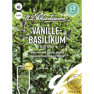 Basilikumsamen 'Blue Spice' Basilikumsamen 'Blue Spice'