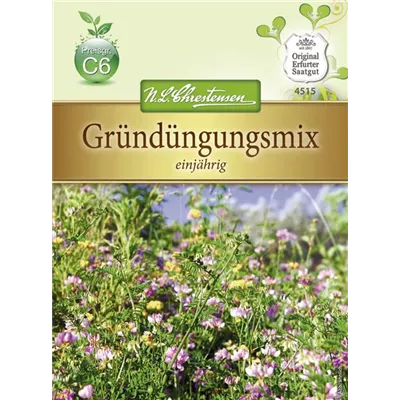 Gründungsmix-Samen