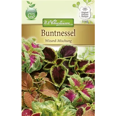 Buntnesselsamen 'Wizard'® Buntnesselsamen 'Wizard'®