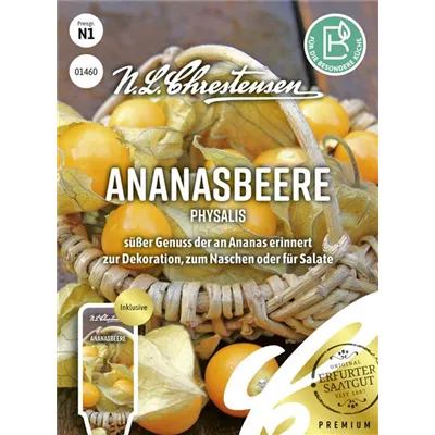 Andenbeerensamen Andenbeerensamen