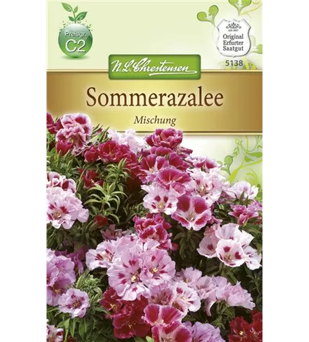 Atlasblumensamen Atlasblumensamen