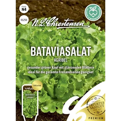 Bataviasalatsamen 'Agribel' Bataviasalatsamen 'Agribel'