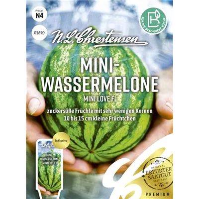 Wassermelonensamen 'Mini Love' Wassermelonensamen 'Mini Love'