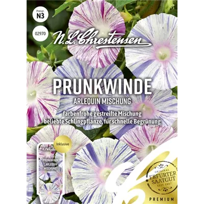 Prunkwindensamen 'Arlequin' Prunkwindensamen 'Arlequin'
