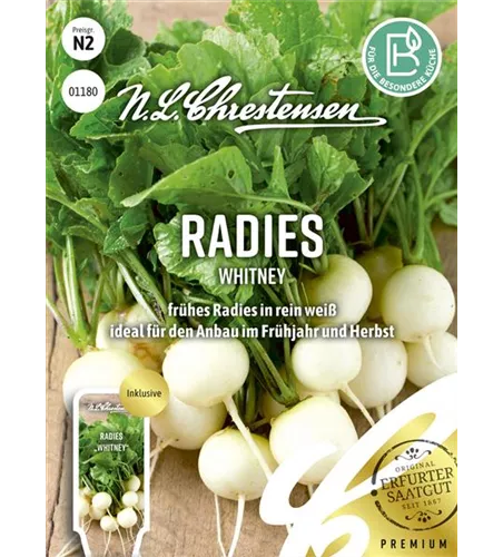 Radieschensamen 'Whitney'