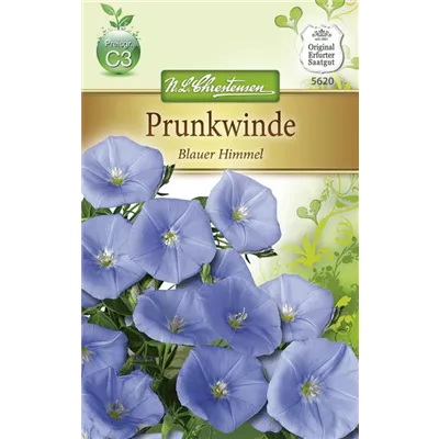 Prunkwindensamen 'Blauer Himmel' Prunkwindensamen 'Blauer Himmel'