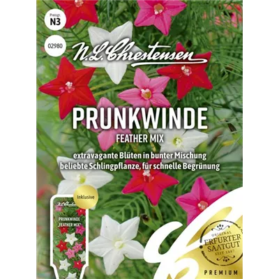 Prunkwindensamen 'Feather Mix' Prunkwindensamen 'Feather Mix'