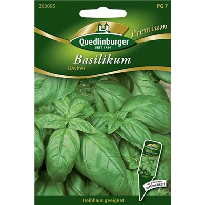Basilikumsamen 'Bavires' Basilikumsamen 'Bavires'