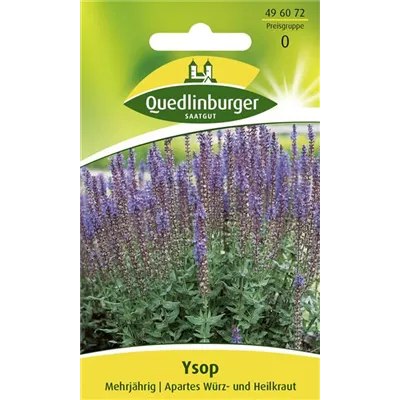 Apotheker-Ysop-Samen Apotheker-Ysop-Samen