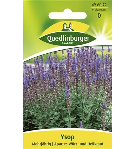 Apotheker-Ysop-Samen Apotheker-Ysop-Samen