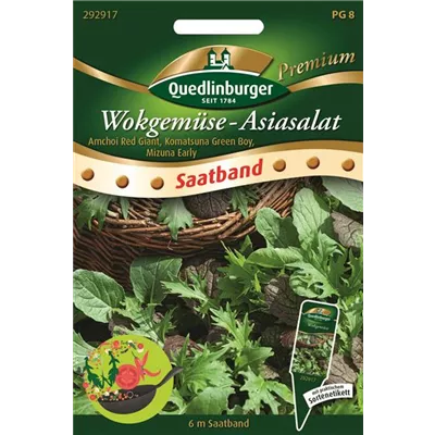 Asiasalatsamen Asiasalatsamen