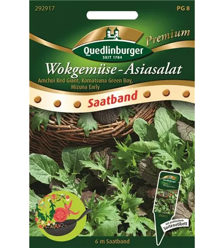 Asiasalatsamen Asiasalatsamen