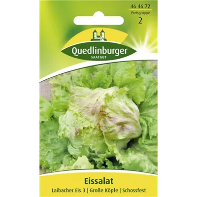 Batavia-Salat-Samen 'Laibacher Eis' Batavia-Salat-Samen 'Laibacher Eis'