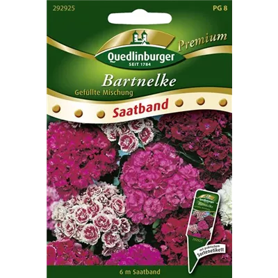 Bartnelkensamen Bartnelkensamen