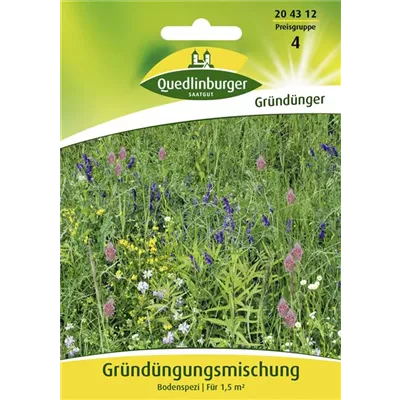 Gründüngung-Samen