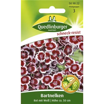 Bartnelkensamen Bartnelkensamen