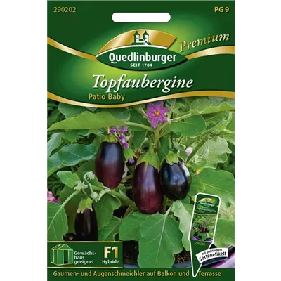 Auberginensamen 'Patio Baby' Auberginensamen 'Patio Baby'