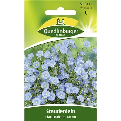 Ausdauernder Lein-Samen Ausdauernder Lein-Samen