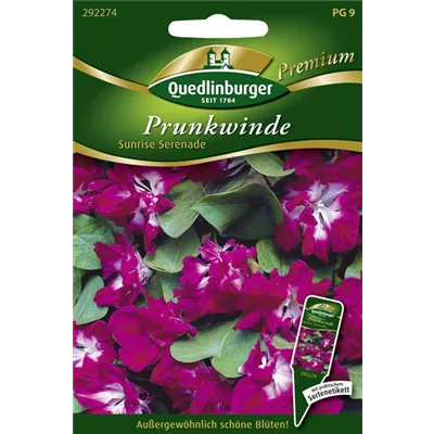 Prunkwindensamen 'Sunrise Serenade' Prunkwindensamen 'Sunrise Serenade'