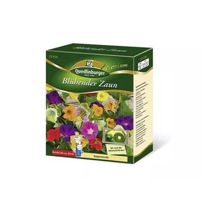 Blühender Zaun-Samen Blühender Zaun-Samen