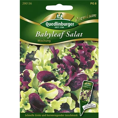 Babyleaf-Salat-Samen Babyleaf-Salat-Samen