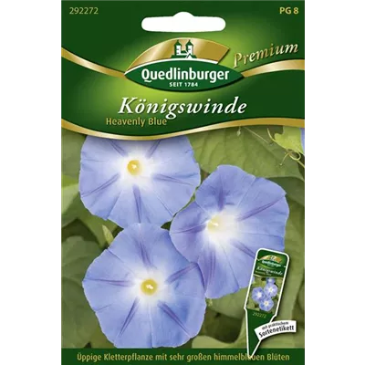Trichterwindensamen 'Heavenly Blue' Trichterwindensamen 'Heavenly Blue'