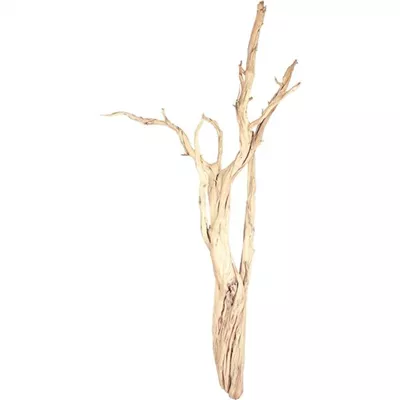 fleur ami Ghostwood fleur ami Ghostwood