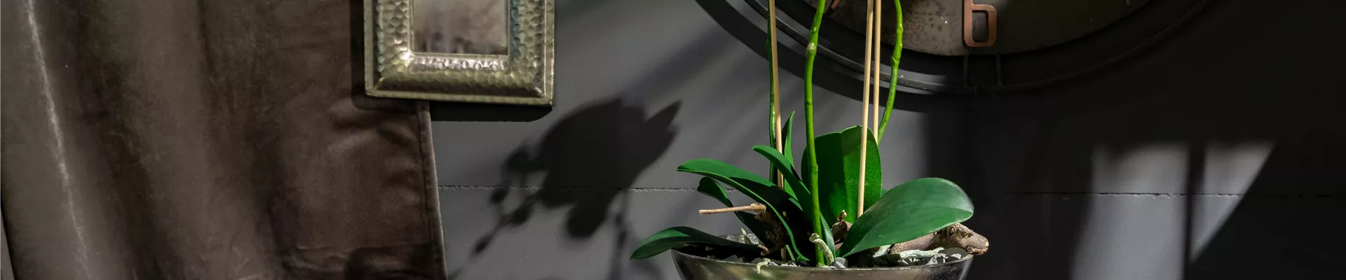 Deko - Ambiente mit Orchidee Deko - Ambiente mit Orchidee