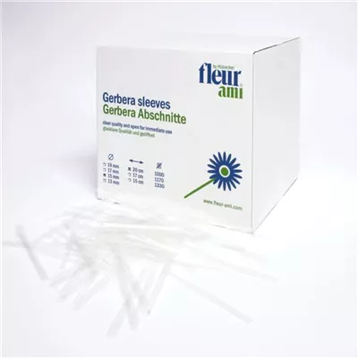 fleur ami GERBERA Abschnitte fleur ami GERBERA Abschnitte