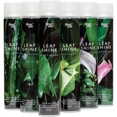 fleur ami Fleur ami Blattglanz