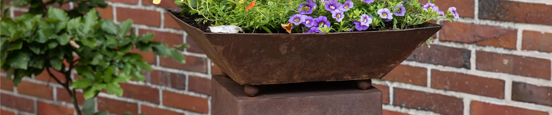 Pflanzsäule  Pflanzsäule