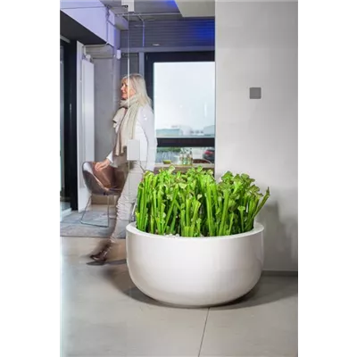 fleur ami PREMIUM CLASSIC Bodengefäß fleur ami PREMIUM CLASSIC Bodengefäß