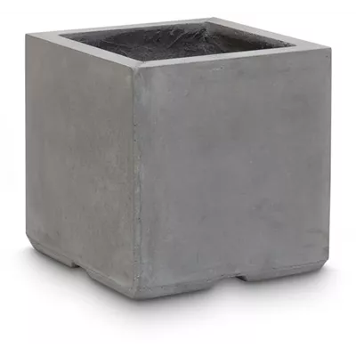 fleur ami DIVISION PLUS Pflanzwürfel fleur ami DIVISION PLUS Pflanzwürfel